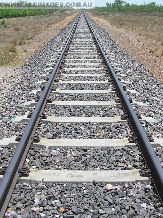 502x677 pixels (308K)